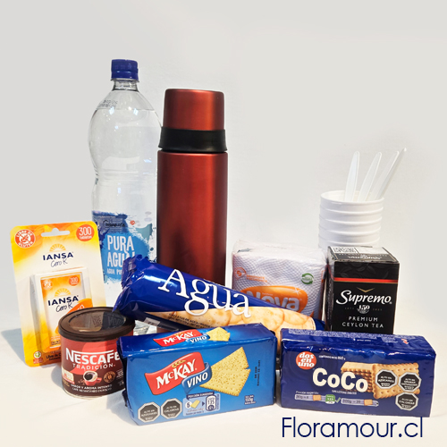 Conjunto: Termo, Tarro café pequeño, caja de té, endulzante, galletas, botella de agua, servilletas, vasos y cucharas desechables.